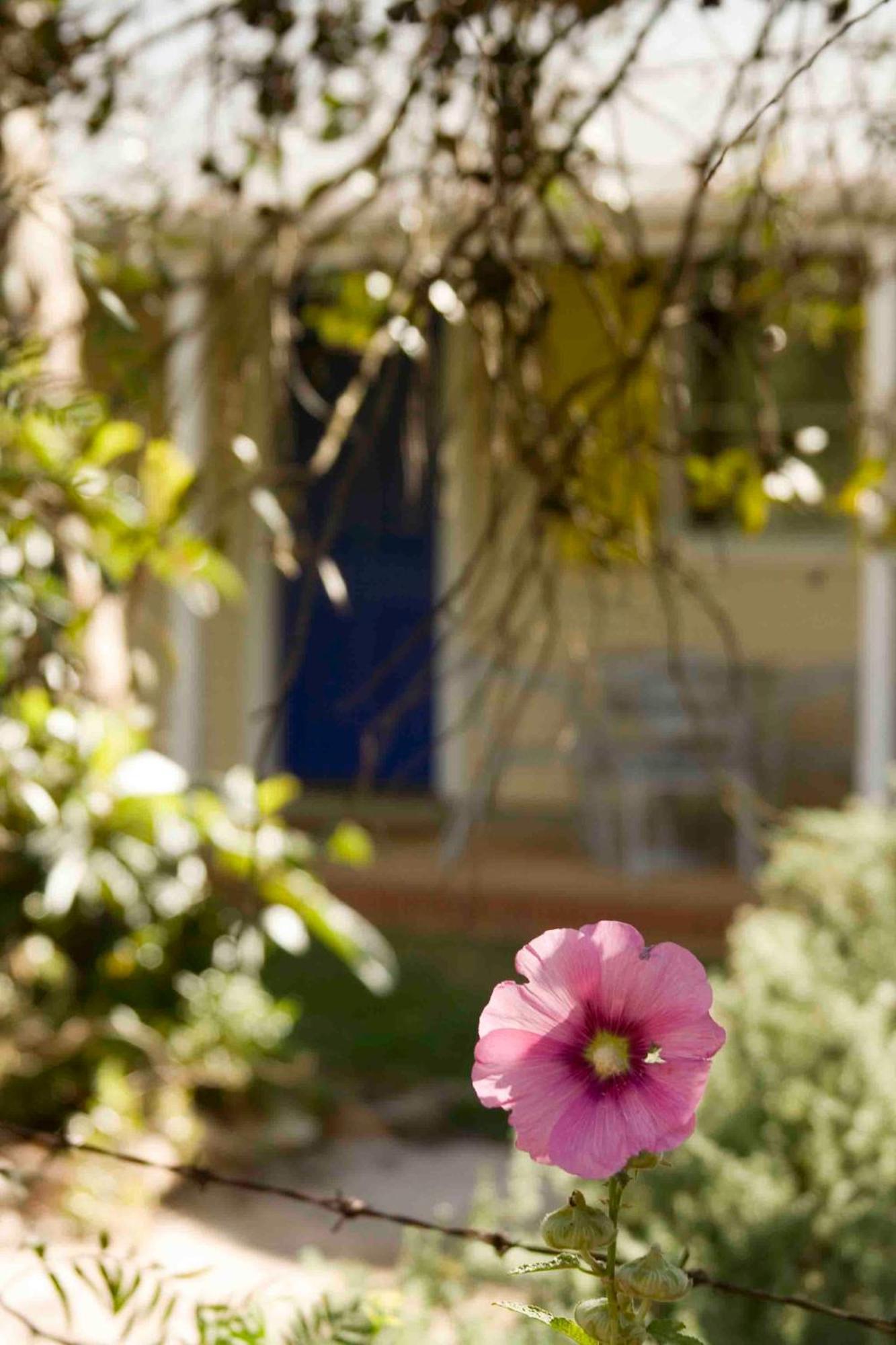 Amy'S House Bed & Breakfast Auburn Bagian luar foto