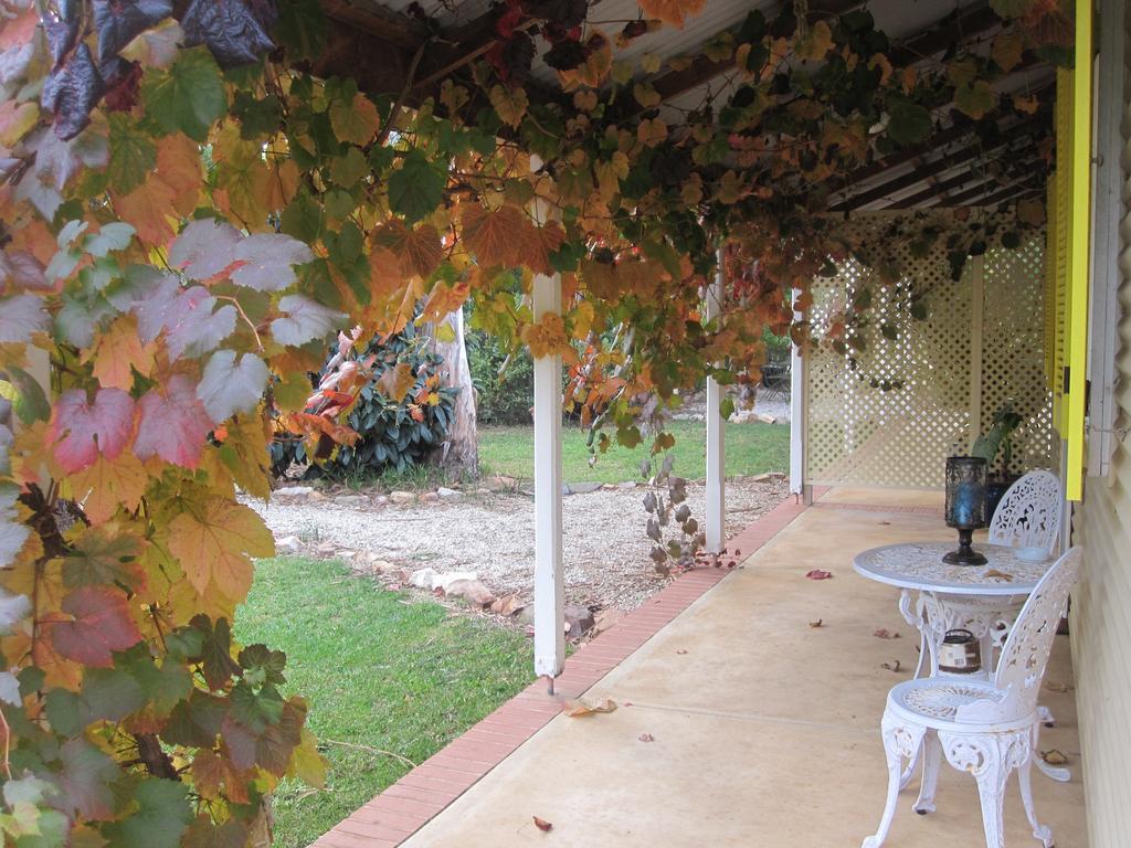Amy'S House Bed & Breakfast Auburn Bagian luar foto