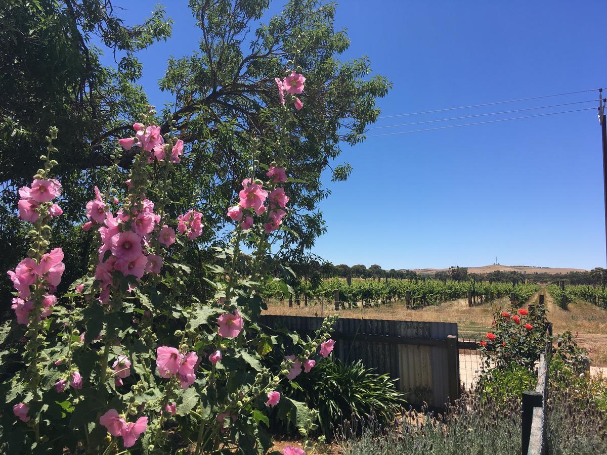 Amy'S House Bed & Breakfast Auburn Bagian luar foto