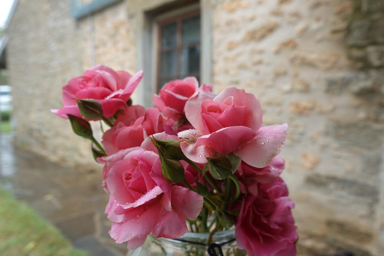 Amy'S House Bed & Breakfast Auburn Bagian luar foto