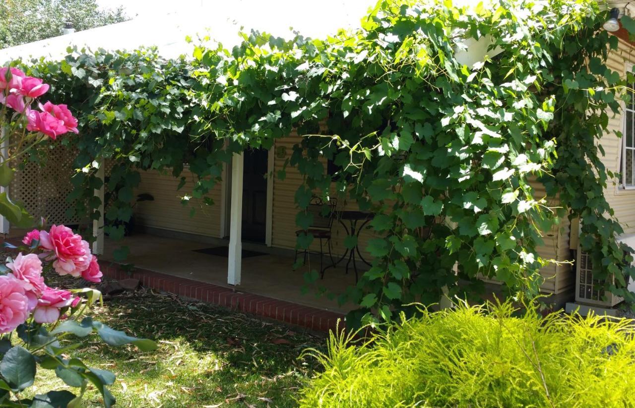 Amy'S House Bed & Breakfast Auburn Bagian luar foto